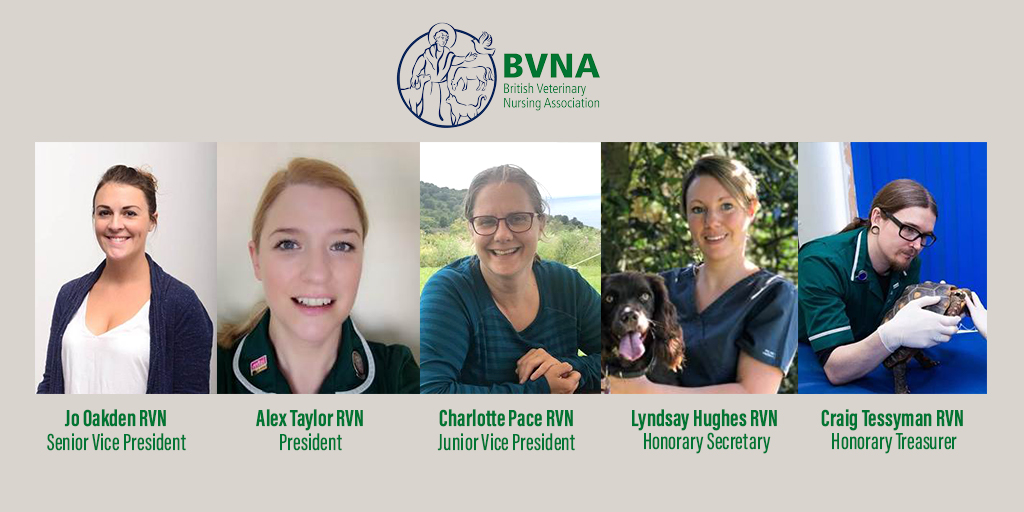 New officer team approved for BVNA